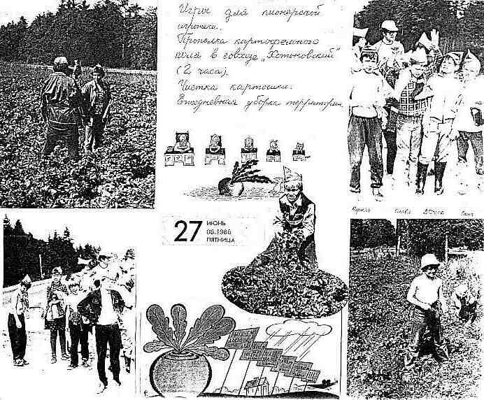 В поле